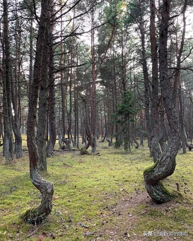 西山秘境最新动态,西山秘境最新动态，揭开神秘面纱下的新篇章