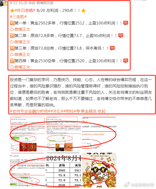 2023澳门管家婆资料正版大全,澳门管家婆资料正版大全——探索2023年的全新视界