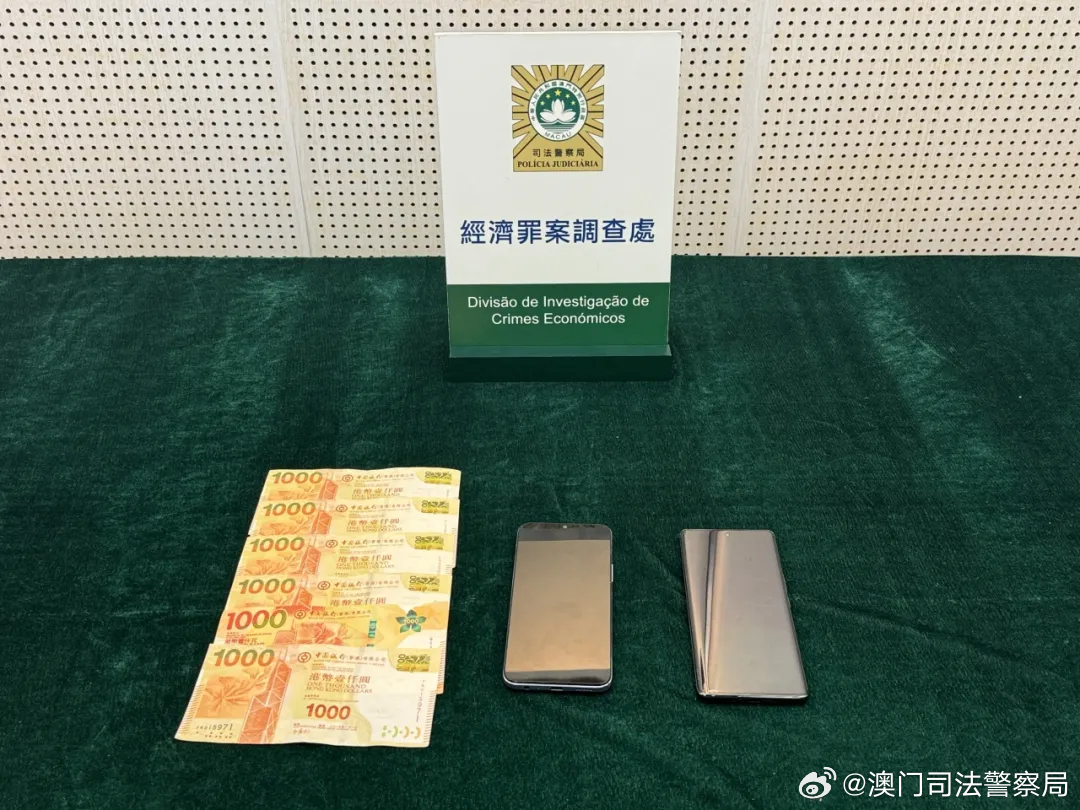 澳门王中王100%的资料2024年,澳门王中王100%的资料——警惕犯罪风险，切勿参与非法赌博活动（2024年）