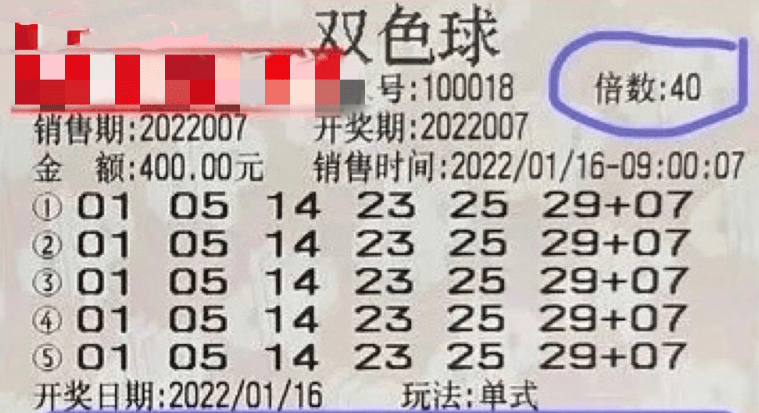 2024新澳门今晚开奖号码和香港,新澳门与香港的未来，探索彩票开奖的新篇章