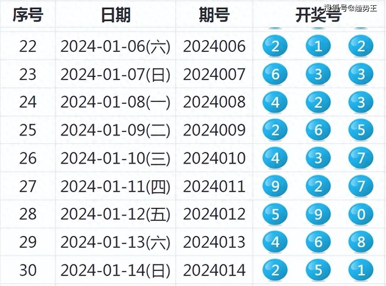 2024新奥开奖记录清明上河图,新奥开奖记录与清明上河图的交融