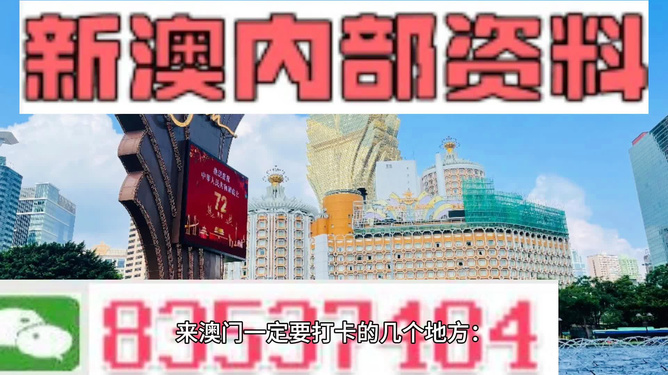 新澳2024正版资料免费公开,新澳2024正版资料免费公开，探索与启示