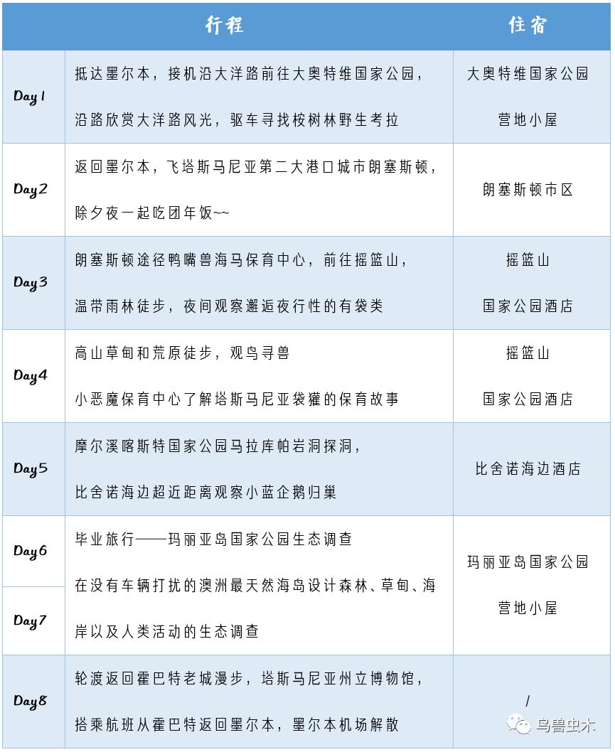 新澳开奖记录今天结果,新澳开奖记录今天结果，探索彩票背后的故事与启示