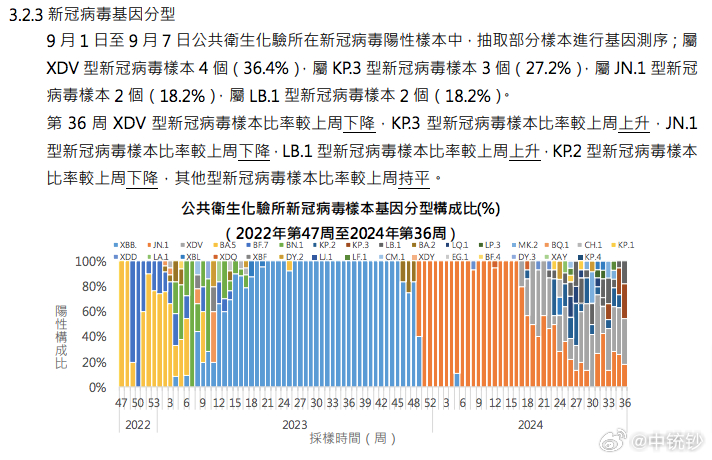 拳打脚踢 第3页