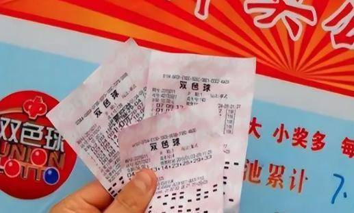 一肖一码100%-中,揭秘彩票奥秘，一肖一码100%-中的秘密与真相