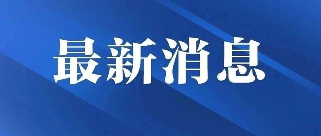 新澳2025年正版资料080期 24-39-16-14-41-09T：11,新澳2025年正版资料解析——第080期数字解读与策略探讨